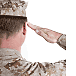 Soilder Saluting